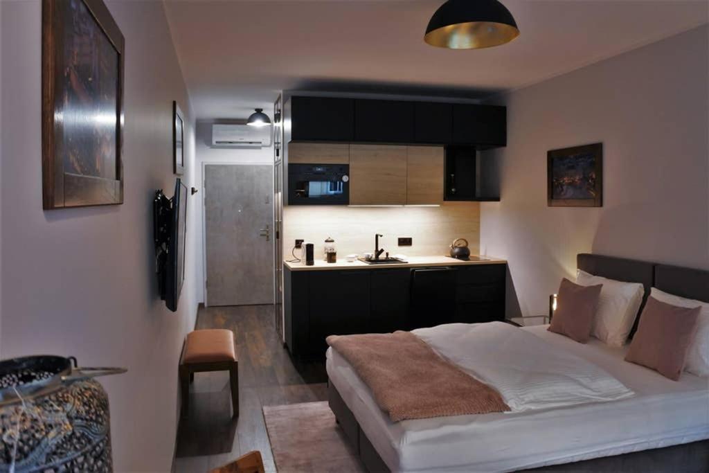 קרקוב Boutique 109 - Old City, Luxury Apt. With A Garage מראה חיצוני תמונה